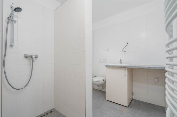 Pronájem, Byt 1+kk, Mnichovo Hradiště