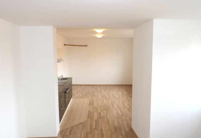 Pronájem, Byt 1+kk, Beroun