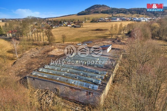 Prodej, Obchod a služby, Červená Voda