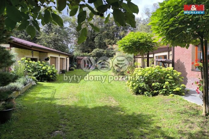 Prodej, Obchodní objekt, Bechyně