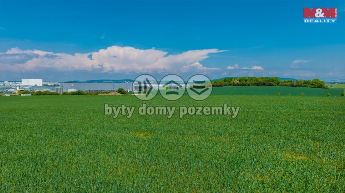 Prodej, Ostatní, Řepov