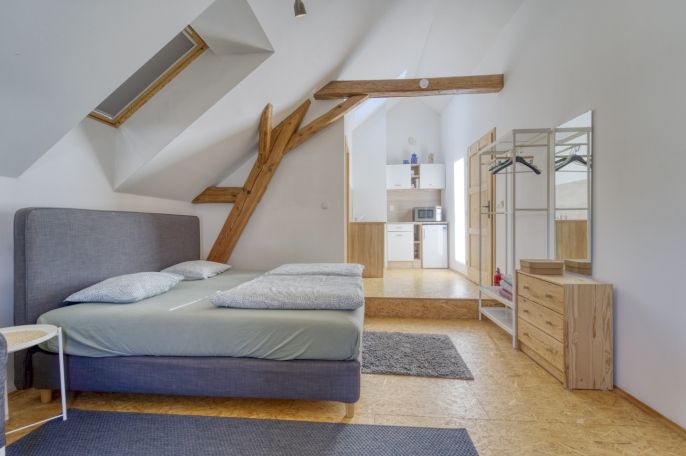 Prodej, Hotel, penzion, Pňovany