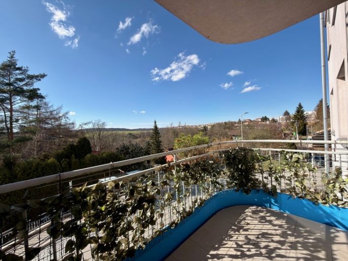 Pronájem, Byt 1+1, Tábor