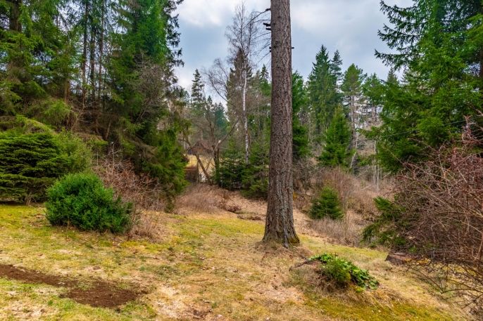 Prodej, Rodinný dům, Přední Výtoň