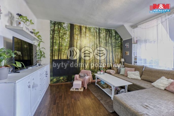 Prodej, Byt 2+1, Cheb