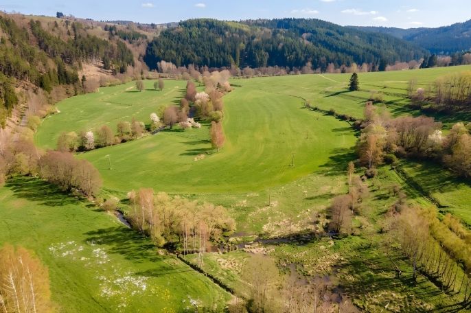 Prodej, Pozemek k bydlení, Chodová Planá