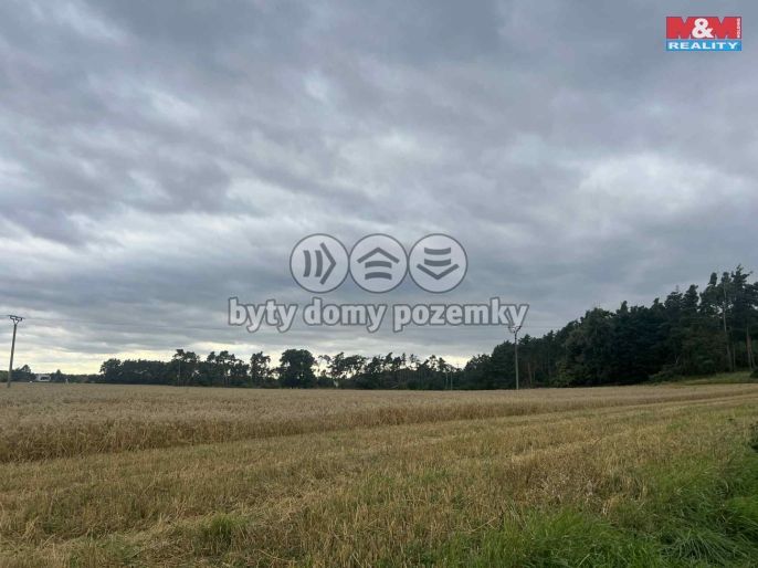 Prodej, Les, Tři Dvory