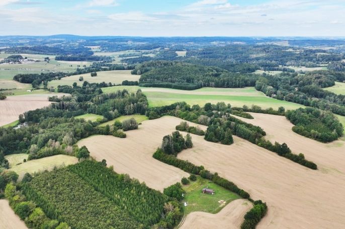 Prodej, Pole, Vyskytná