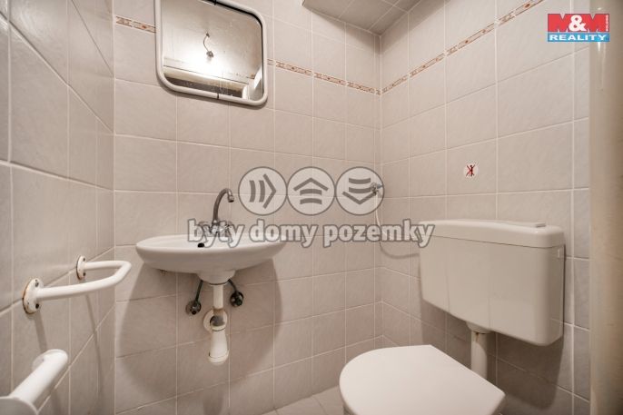 Prodej, Zemědělská usedlost, Čistá