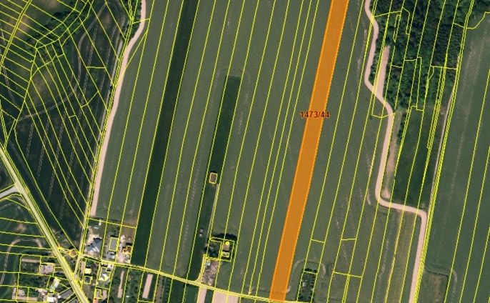 Prodej, Pole, Tísek