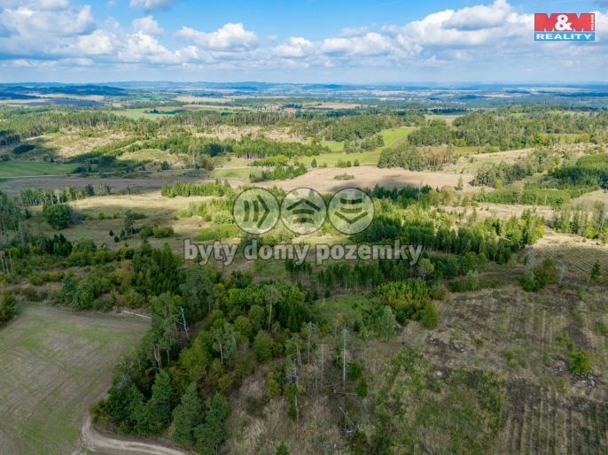 Prodej, Les, Horní Heřmanice