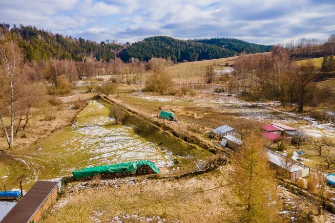 Prodej, Zahrada, Chodová Planá