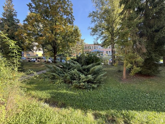 Prodej, Byt 3+kk, Havířov