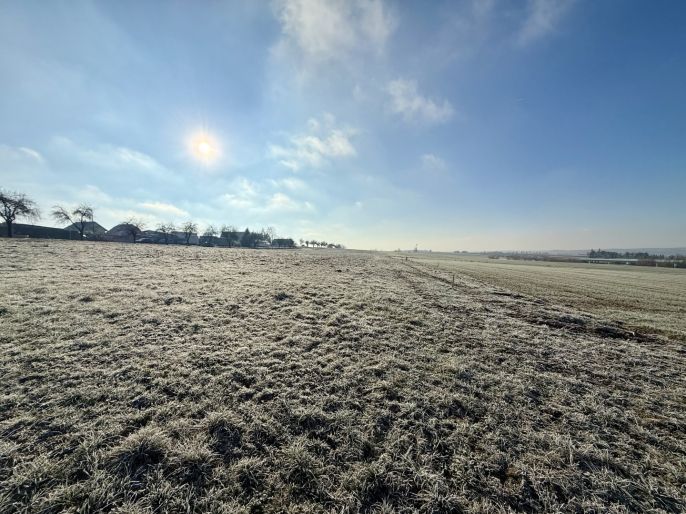 Prodej, Pozemek k bydlení, Myslkovice
