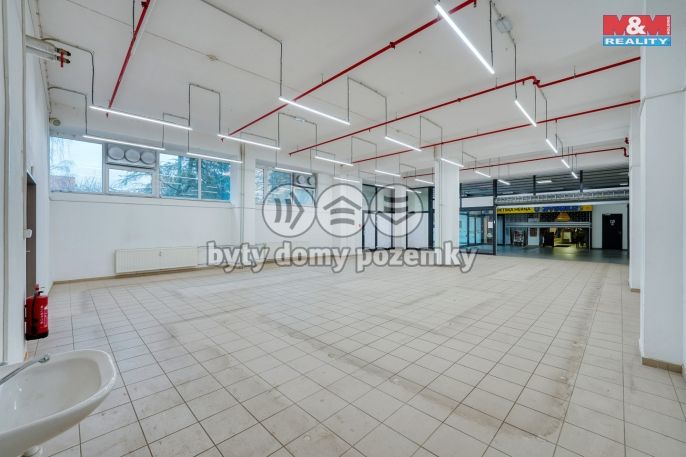 Pronájem, Obchod a služby, Plzeň