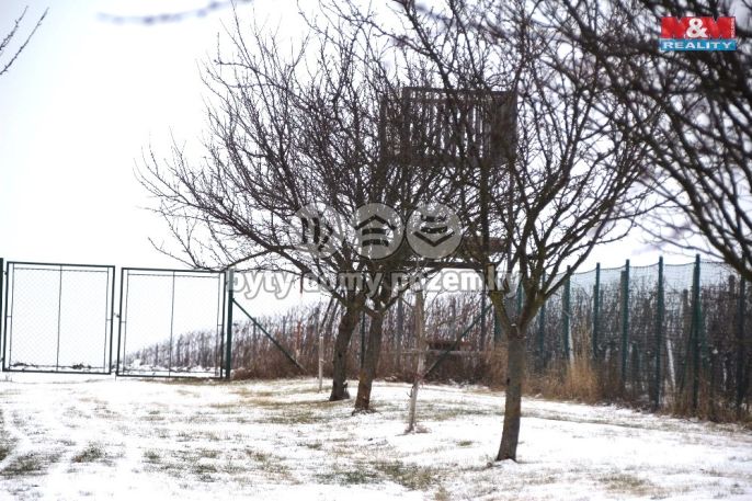 Prodej, Ovocný sad, Starý Poddvorov