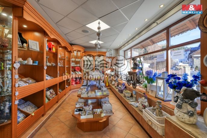 Pronájem, Obchod a služby, Železná Ruda