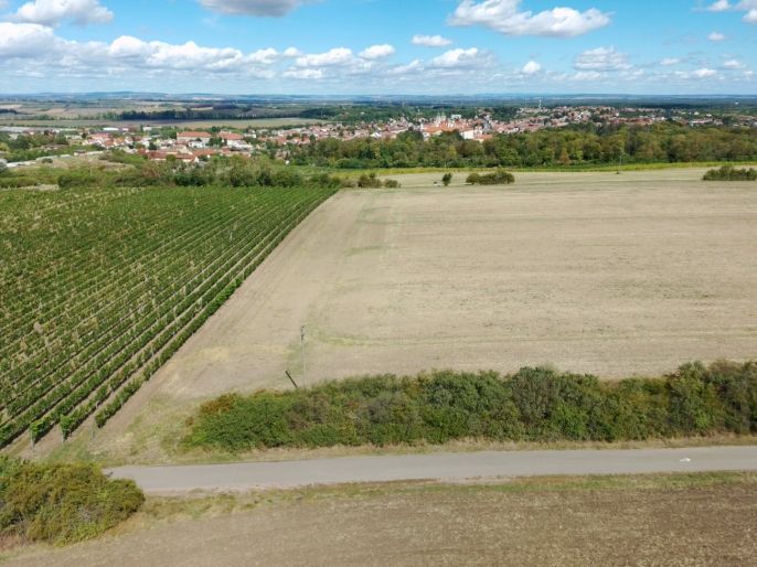 Prodej, Pole, Valtice