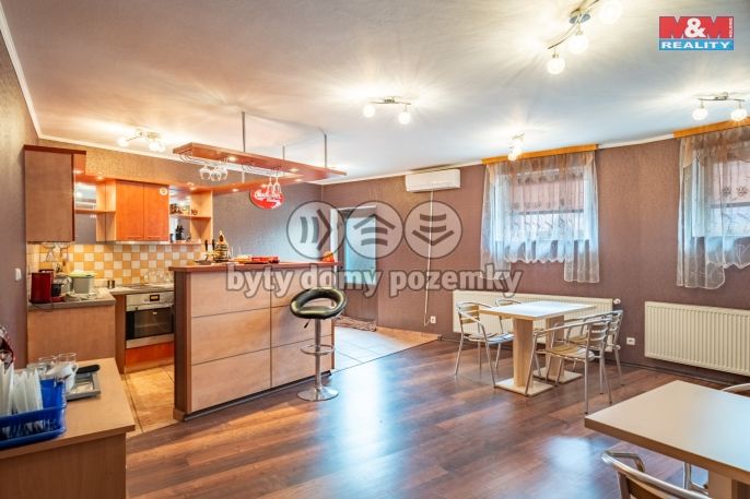 Prodej, Hotel, penzion, České Budějovice