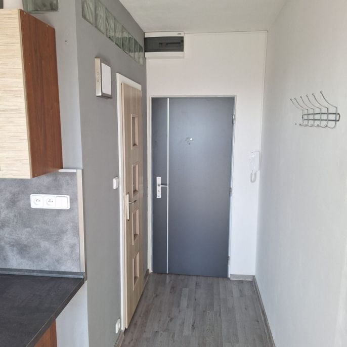 Pronájem, Byt 1+1, Aš