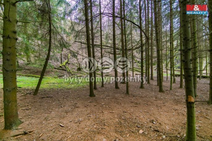 Prodej, Les, Zruč-Senec