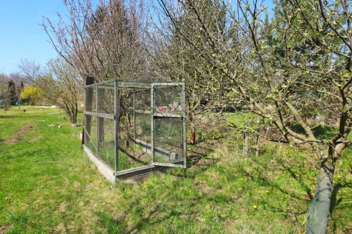 Prodej, Zahrada, Čáslav