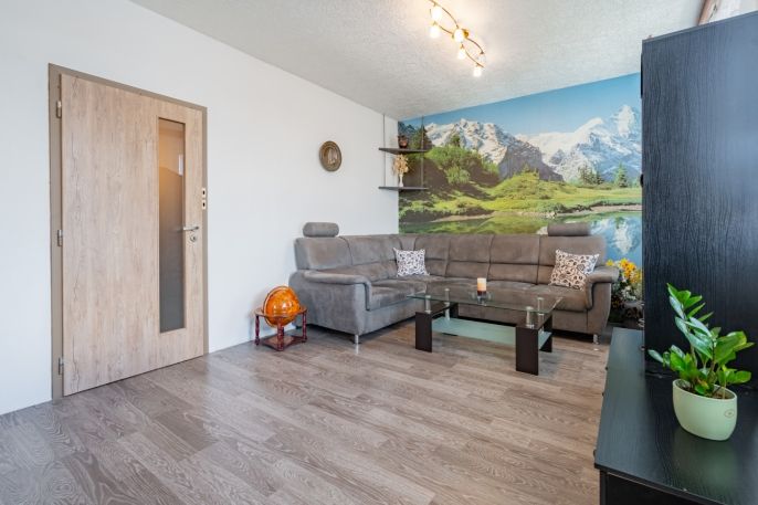 Prodej, Byt 4+1, Mladošovice