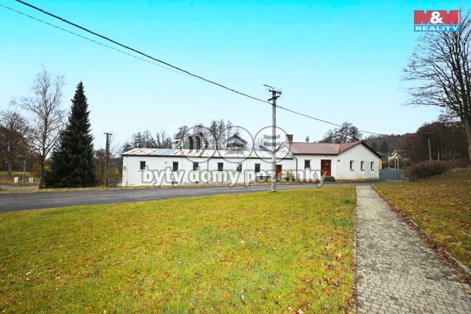 Pronájem, Výrobní objekt, Plesná