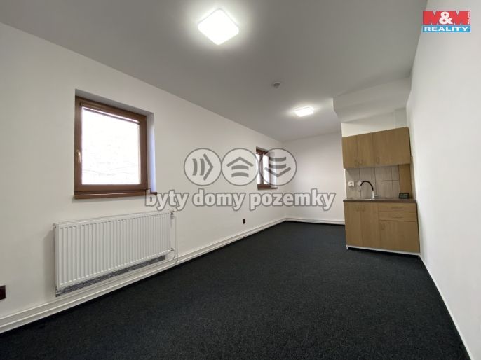 Pronájem, Obchod a služby, Český Těšín