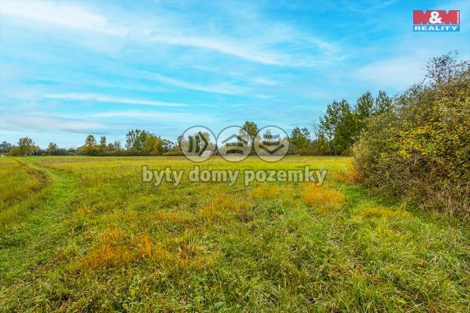 Prodej, Louka, Jestřebí