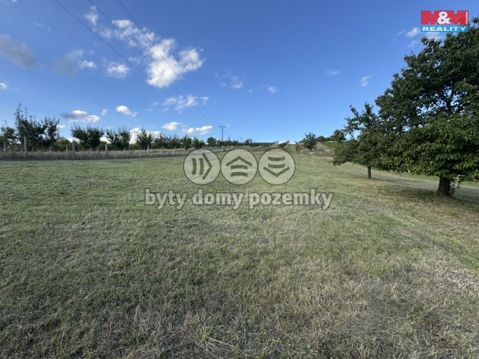 Prodej, Pozemek k bydlení, Borkovany