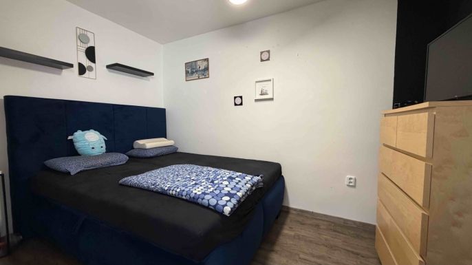 Pronájem, Byt 3+kk, Rokycany