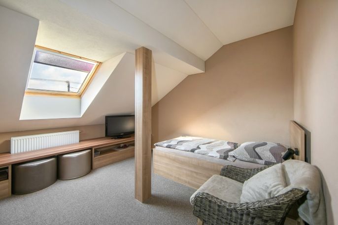 Prodej, Hotel, penzion, Kladruby
