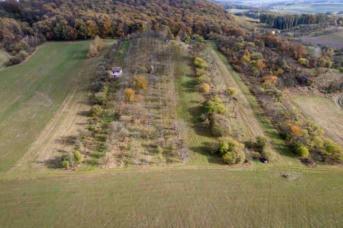 Prodej, Ovocný sad, Kostelec u Holešova