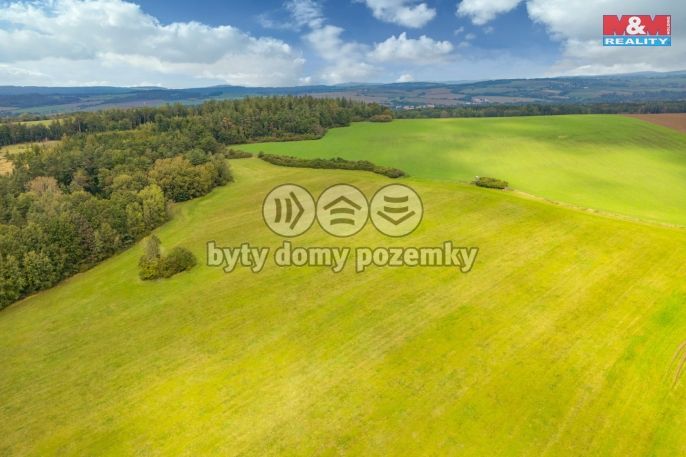 Prodej, Louka, Spálené Poříčí