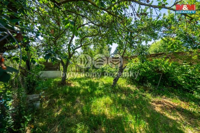 Prodej, Rodinný dům, Moutnice