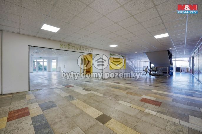 Pronájem, Obchod a služby, Třemošná