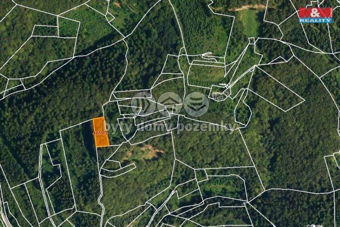 Prodej, Les, Halenkov