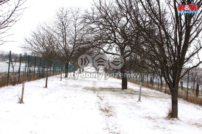 Prodej, Ovocný sad, Starý Poddvorov