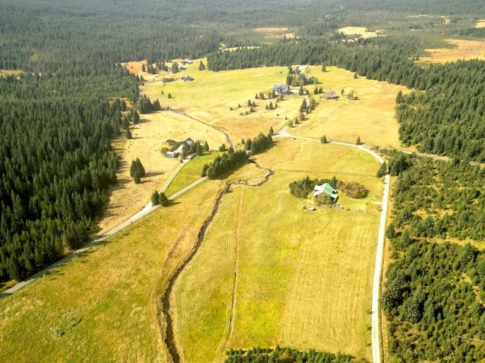 Prodej, Pastvina, Kořenov