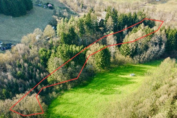 Prodej, Les, Dolní Dobrouč