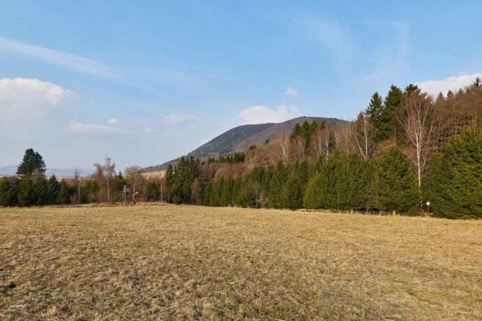 Prodej, Ostatní, Královec