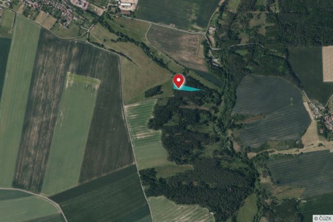 Prodej, Les, Břežany