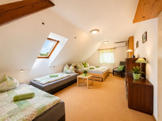 Prodej, Hotel, penzion, Nová Pec