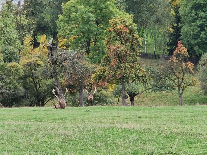 Prodej, Rodinný dům, Slunečná