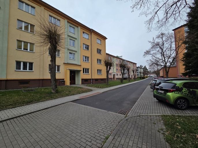 Pronájem, Byt 2+1, Nová Role