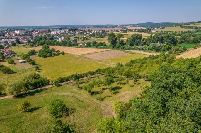 Prodej, Ovocný sad, Staré Hrady