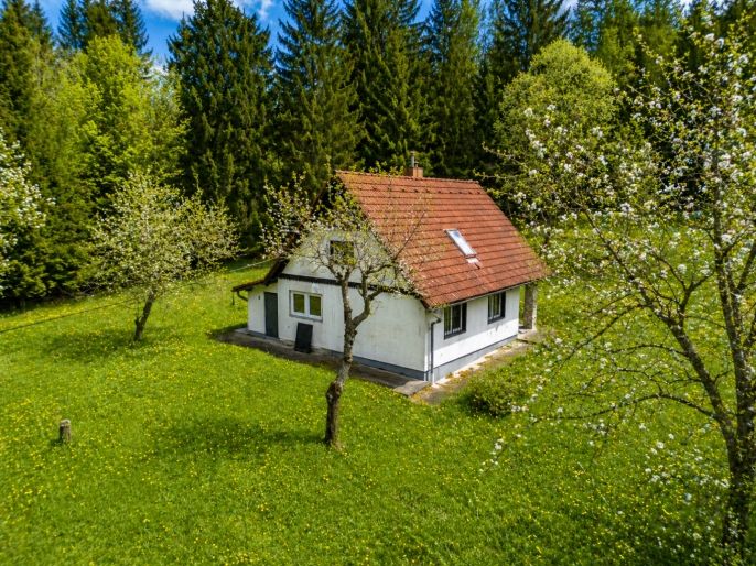 Prodej, Chata, Frymburk