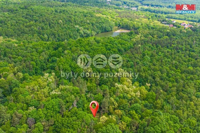 Prodej, Chata, Chlumec