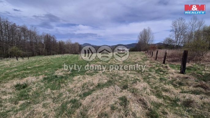 Prodej, Louka, Česká Kamenice